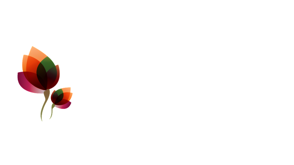 Vorla Conventions